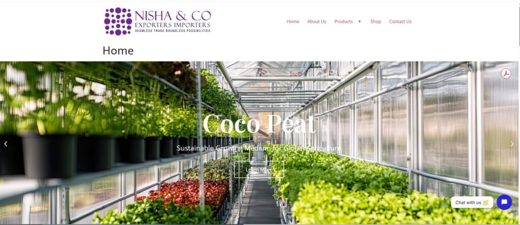 Nisha & Co Exporters Importers homepage